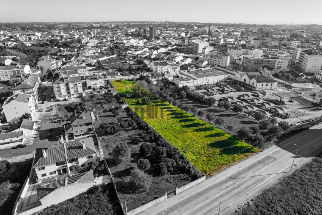 Terreno para Venda em Cartaxo e Vale da Pinta Foto 7