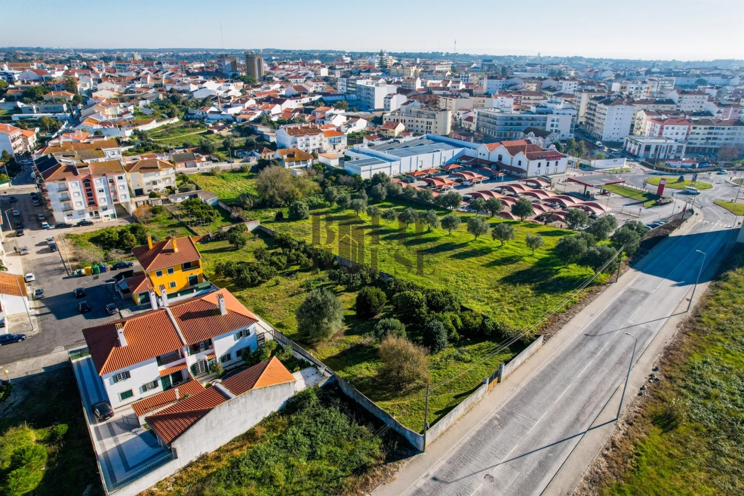 Terreno para Venda em Cartaxo e Vale da Pinta Foto 14