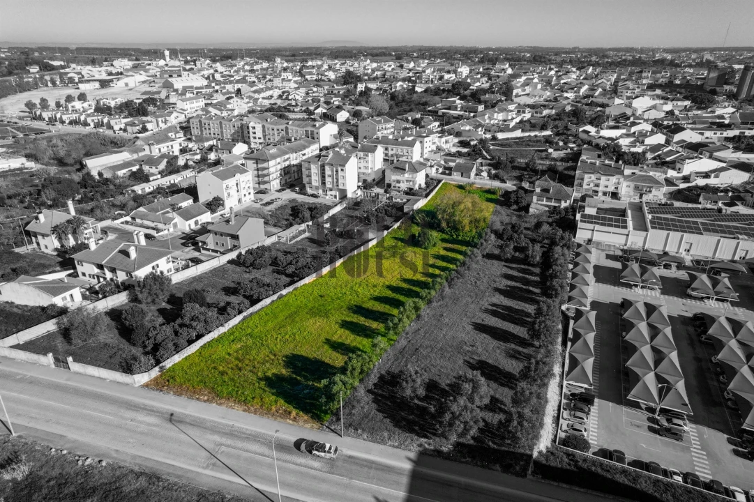 Terreno para Venda em Cartaxo e Vale da Pinta Foto 11