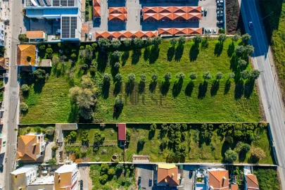 Terreno para Venda em Cartaxo e Vale da Pinta