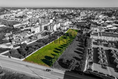 Terreno para Venda em Cartaxo e Vale da Pinta