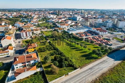 Terreno para Venda em Cartaxo e Vale da Pinta