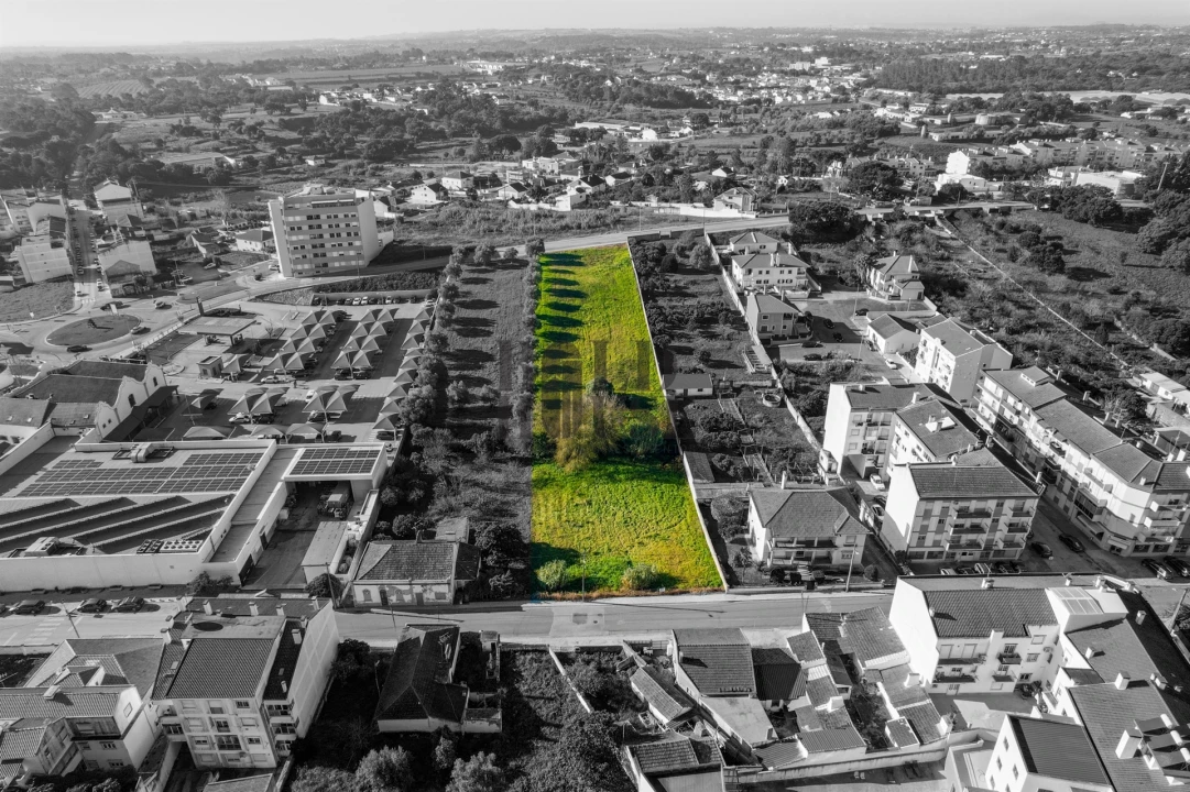 Terreno para Venda em Cartaxo e Vale da Pinta Foto 3