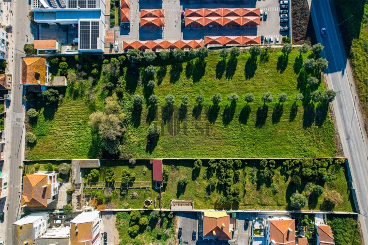 Terreno para Venda em Cartaxo e Vale da Pinta Foto 16