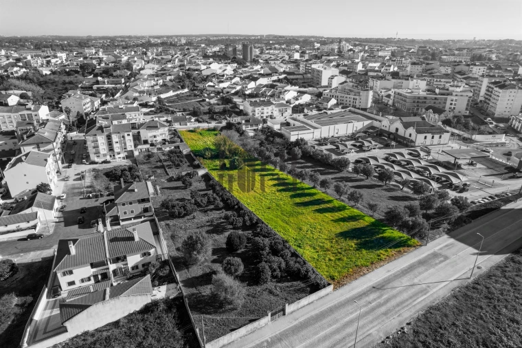 Terreno para Venda em Cartaxo e Vale da Pinta Foto 7