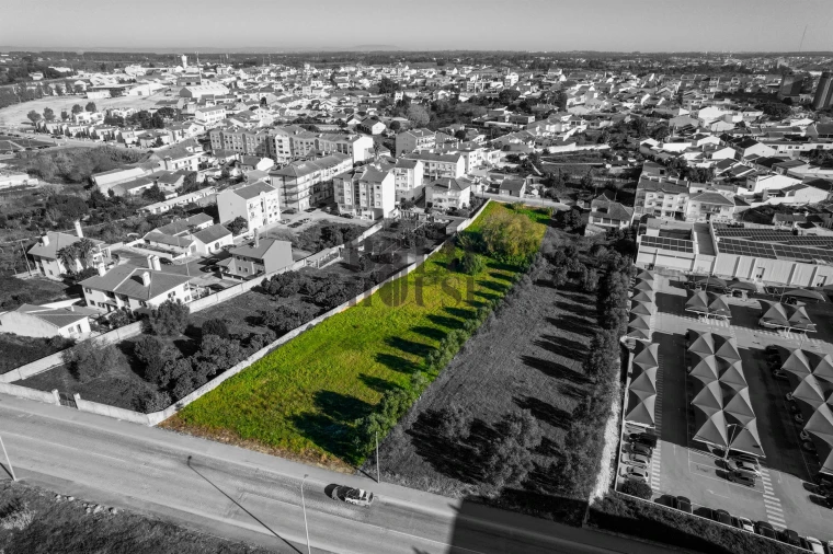 Terreno para Venda em Cartaxo e Vale da Pinta Foto 11