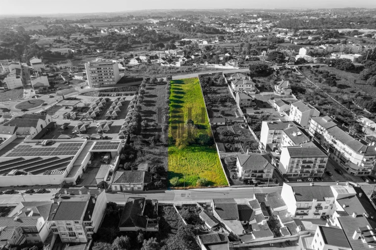 Terreno para Venda em Cartaxo e Vale da Pinta Foto 3