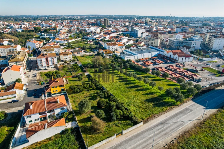 Terreno para Venda em Cartaxo e Vale da Pinta Foto 8
