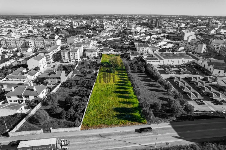Terreno para Venda em Cartaxo e Vale da Pinta Foto 9