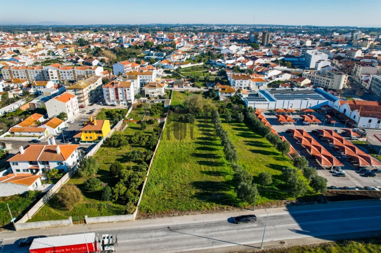 Terreno para Venda em Cartaxo e Vale da Pinta Foto 10