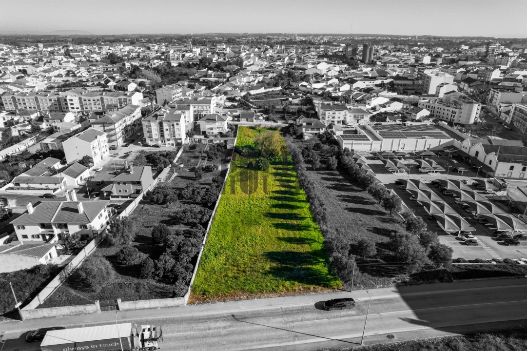 Terreno para Venda em Cartaxo e Vale da Pinta Foto 9