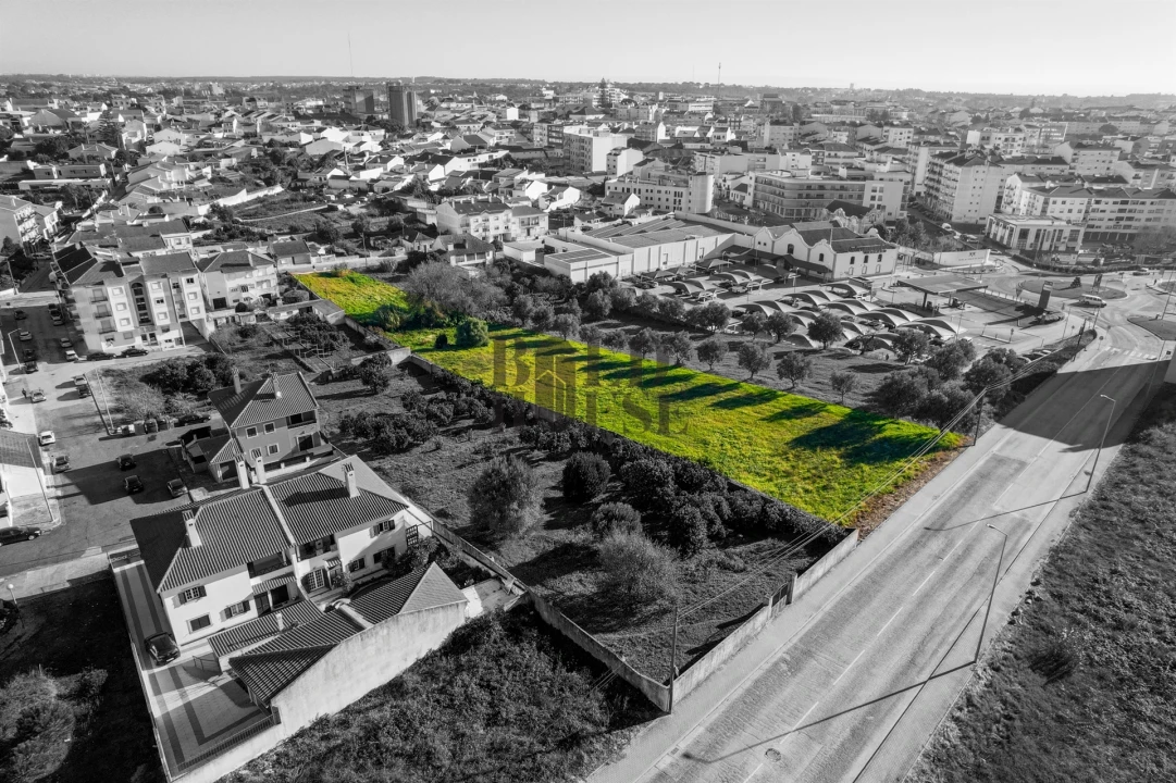 Terreno para Venda em Cartaxo e Vale da Pinta Foto 13