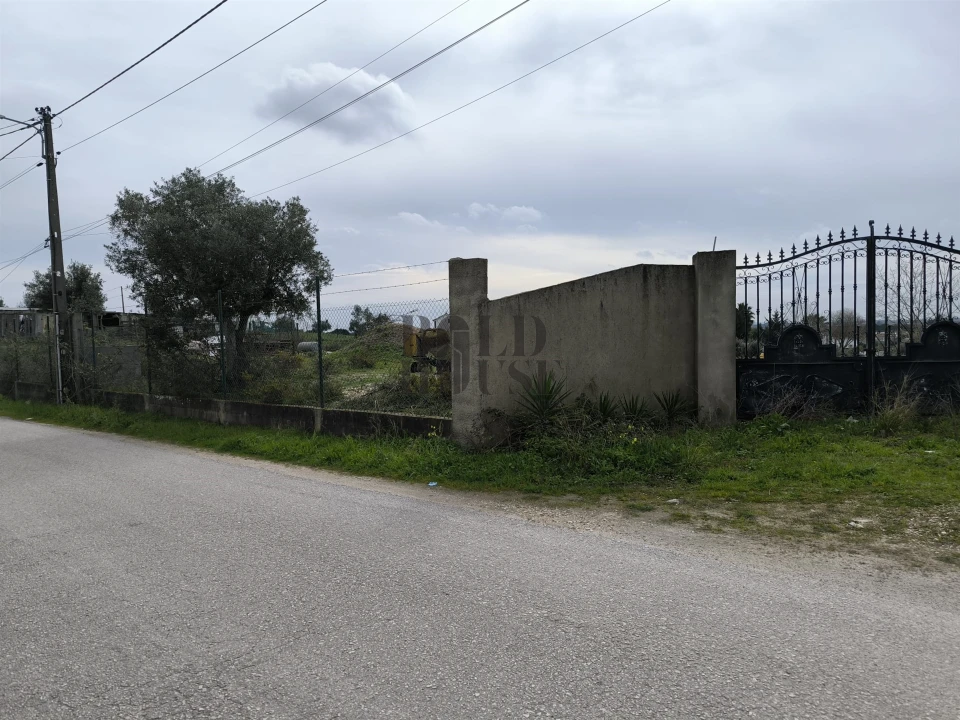 Terreno para Venda em Pontevel Foto 8