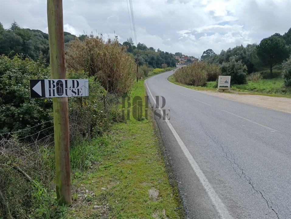 Terreno Agricola ou Rústico para Venda em Cartaxo e Vale da Pinta Foto 8