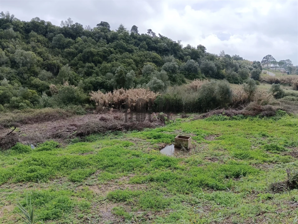 Terreno Agricola ou Rústico para Venda em Cartaxo e Vale da Pinta Foto 1
