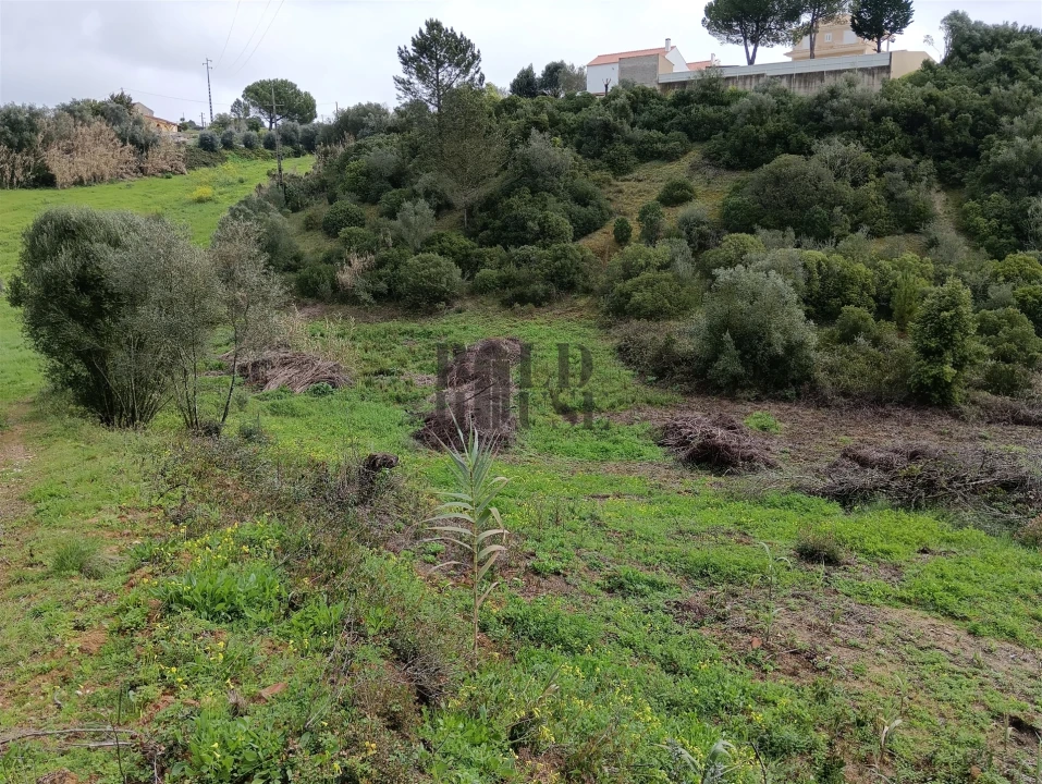 Terreno Agricola ou Rústico para Venda em Cartaxo e Vale da Pinta Foto 3