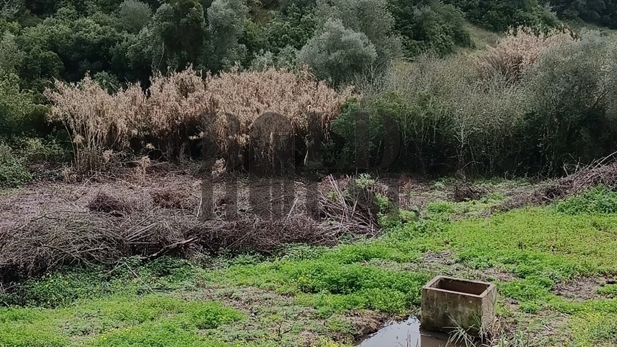 Terreno Agricola ou Rústico para Venda em Cartaxo e Vale da Pinta