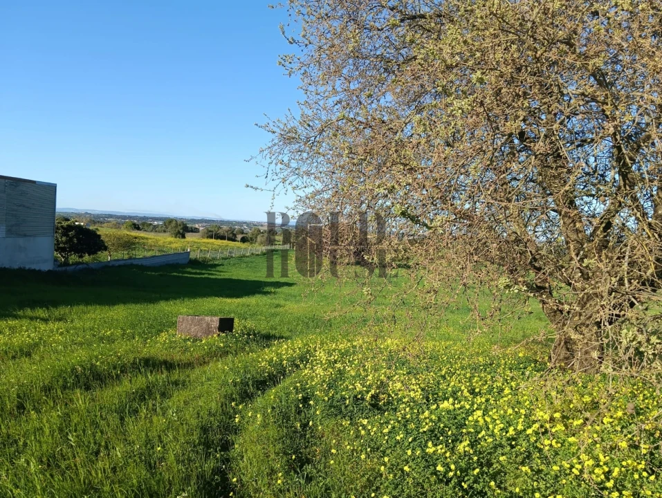 Terreno Agricola ou Rústico para Venda em Pontevel Foto 2