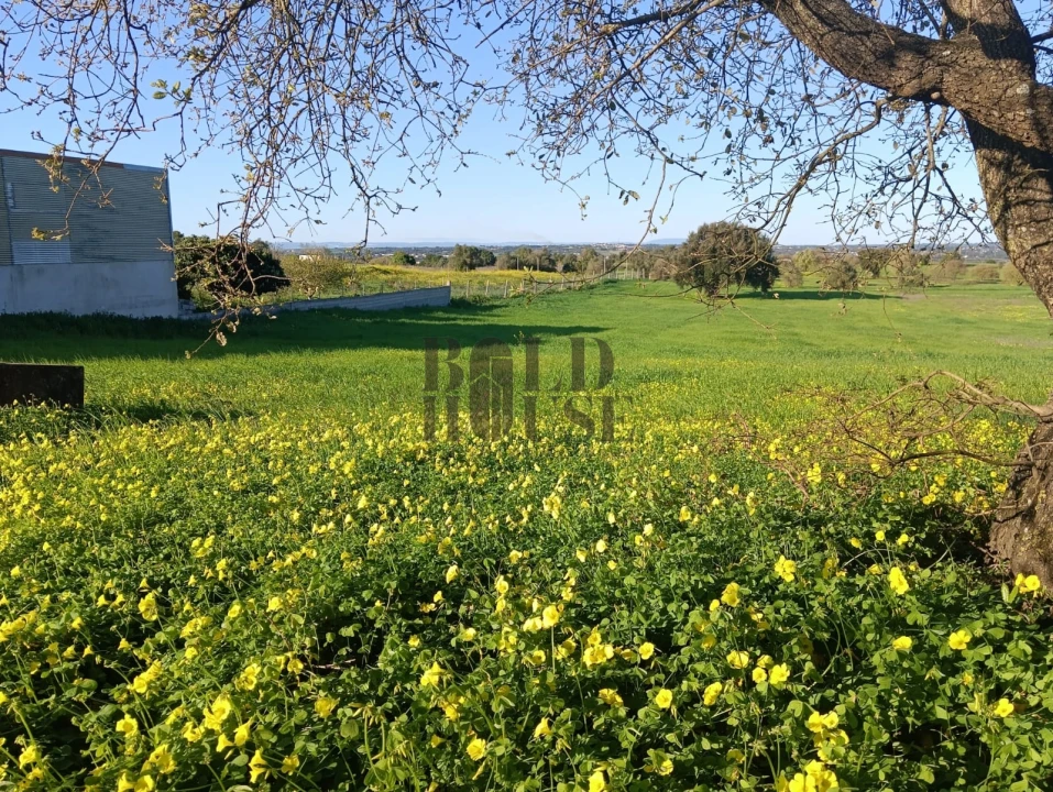 Terreno Agricola ou Rústico para Venda em Pontevel Foto 1