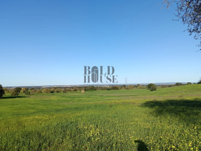 Terreno Agricola ou Rústico para Venda em Pontevel Foto 8