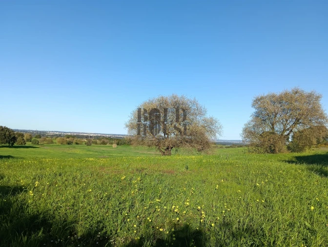 Terreno Agricola ou Rústico para Venda em Pontevel Foto 3