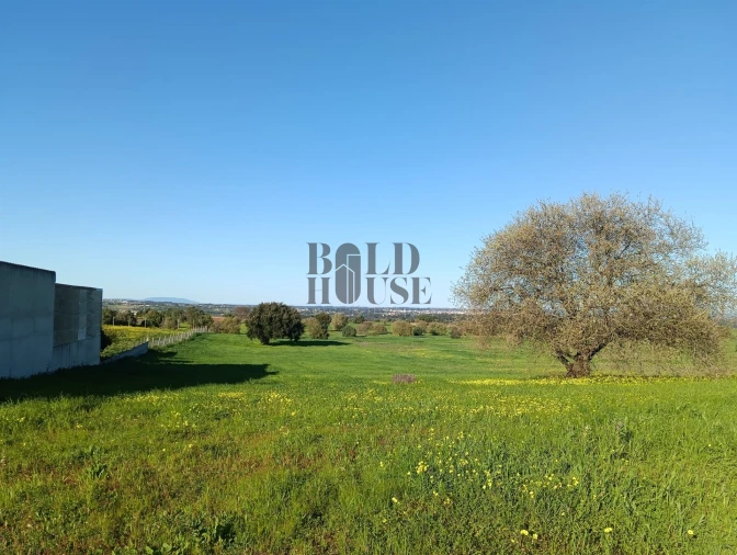 Terreno Agricola ou Rústico para Venda em Pontevel Foto 6