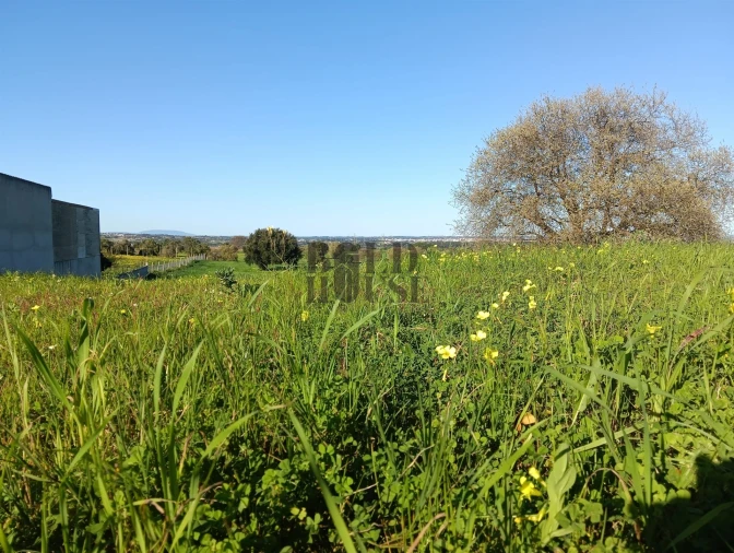 Terreno Agricola ou Rústico para Venda em Pontevel Foto 5