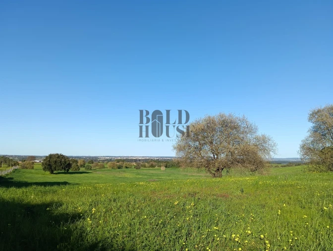 Terreno Agricola ou Rústico para Venda em Pontevel Foto 4