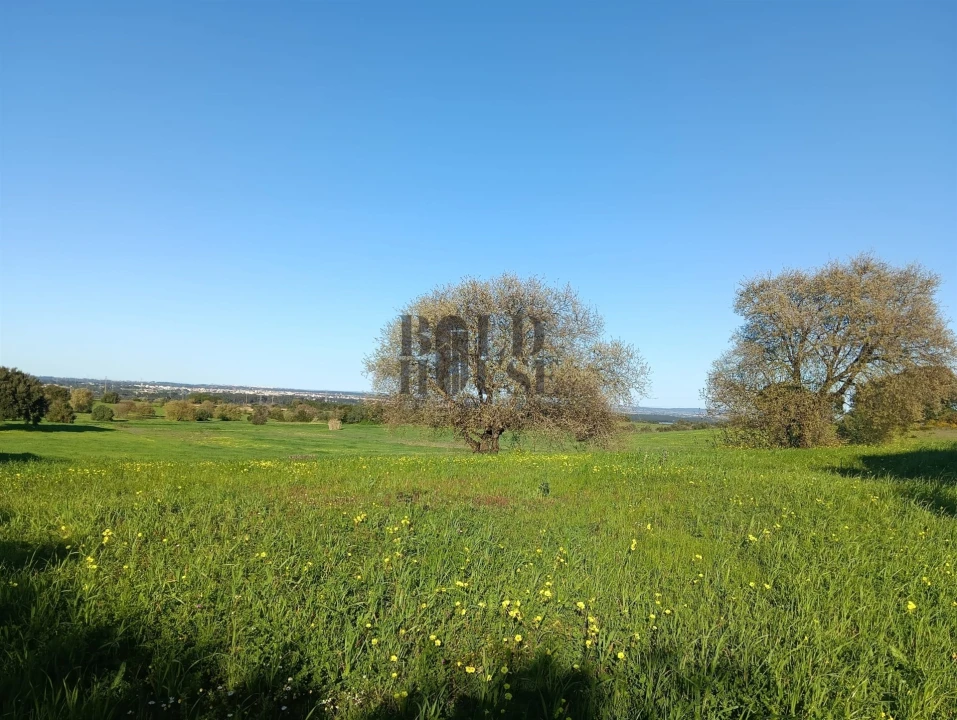Terreno Agricola ou Rústico para Venda em Pontevel Foto 3