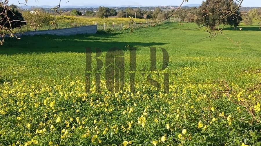 Terreno Agricola ou Rústico para Venda em Pontevel