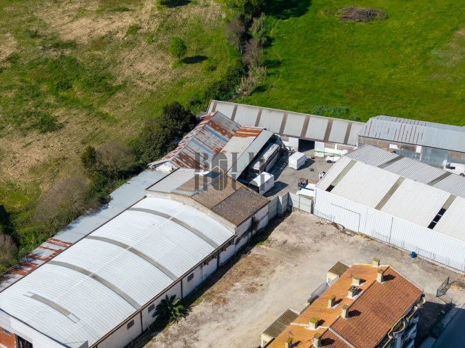 Armazém para Venda em Cartaxo e Vale da Pinta Foto 24