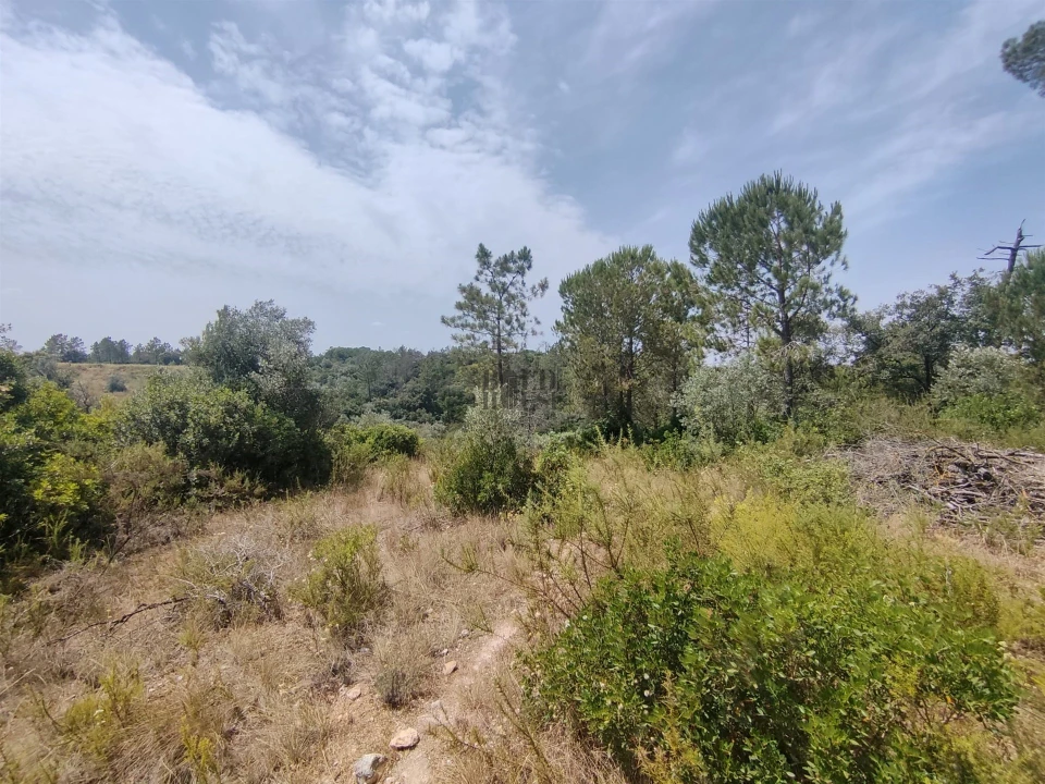 Terreno Agricola ou Rústico para Venda em Azambujeira e Malaqueijo Foto 4