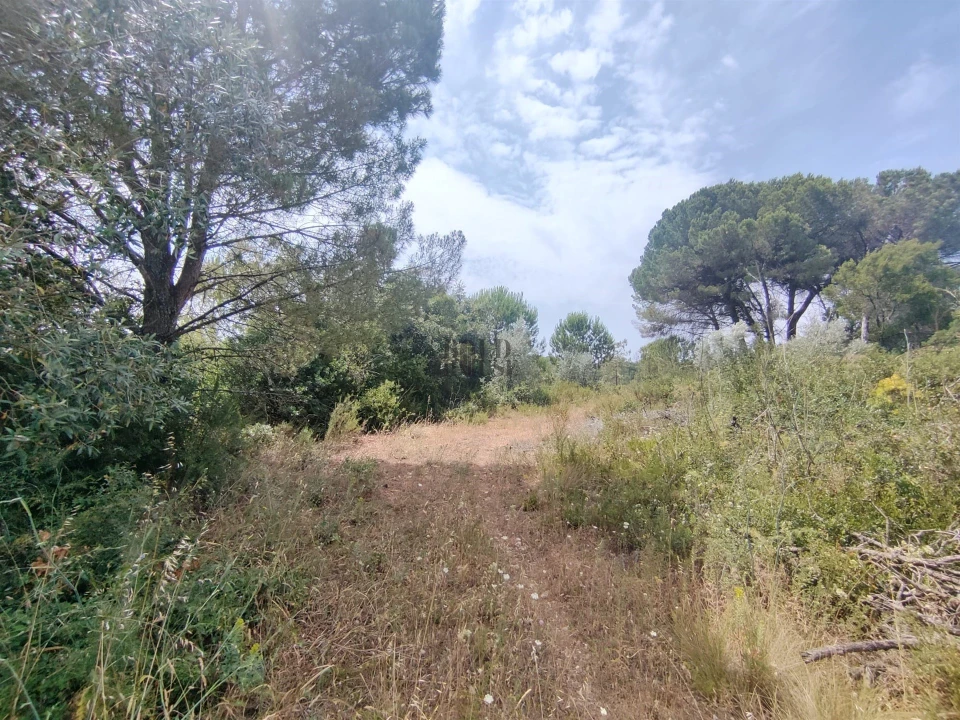Terreno Agricola ou Rústico para Venda em Azambujeira e Malaqueijo Foto 1