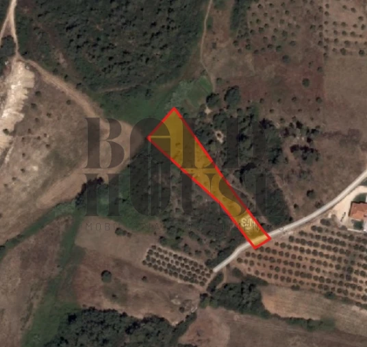 Terreno Agricola ou Rústico para Venda em Azambujeira e Malaqueijo Foto 2