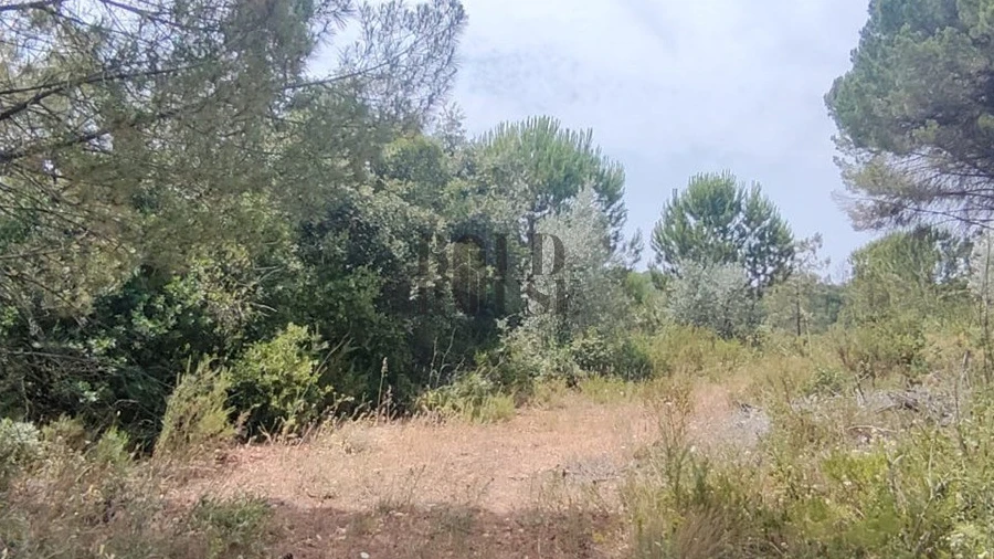 Terreno Agricola ou Rústico para Venda em Azambujeira e Malaqueijo