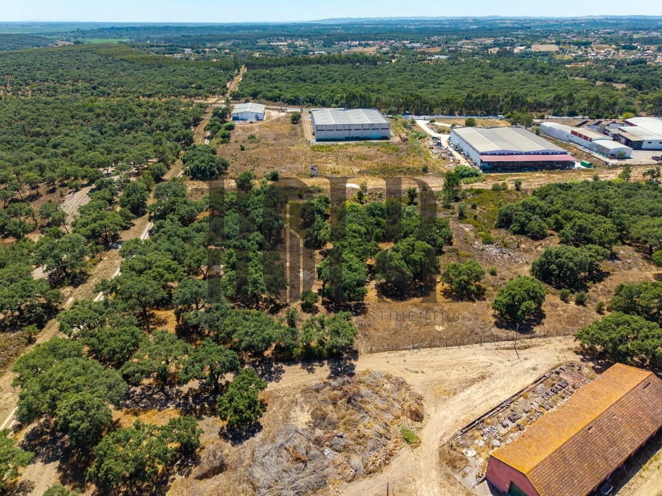 Terreno Comércio / Armazém para Venda em Vila Chã de Ourique Foto 16