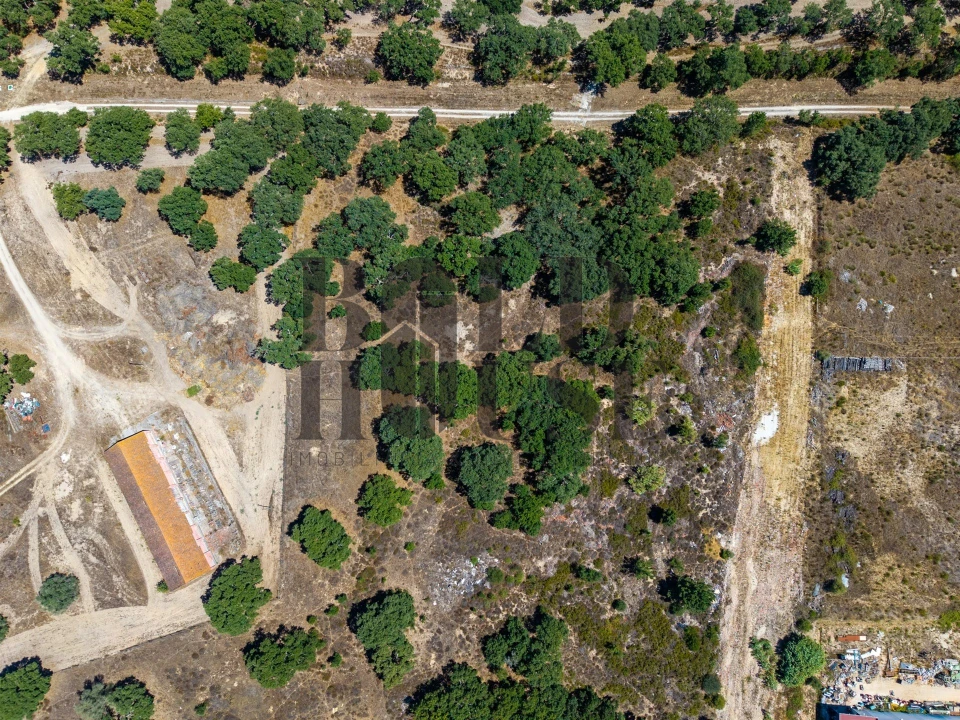 Terreno Comércio / Armazém para Venda em Vila Chã de Ourique Foto 5