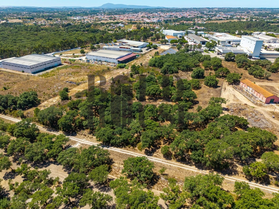 Terreno Comércio / Armazém para Venda em Vila Chã de Ourique Foto 2