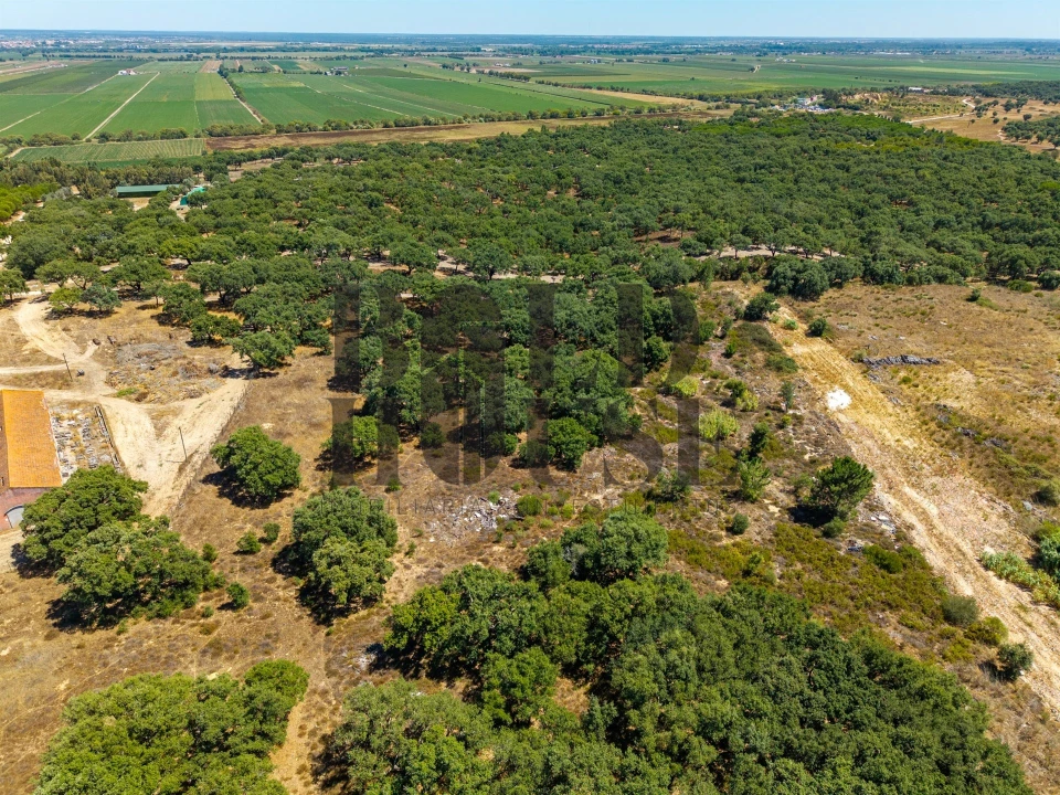 Terreno Comércio / Armazém para Venda em Vila Chã de Ourique Foto 22