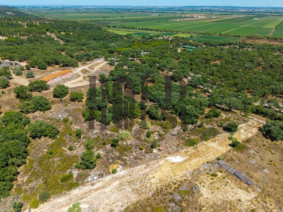 Terreno Comércio / Armazém para Venda em Vila Chã de Ourique Foto 7