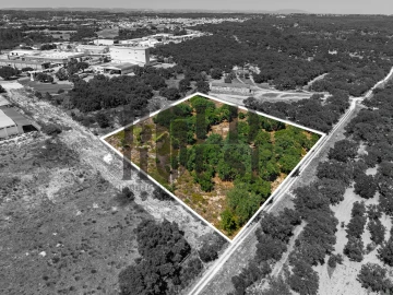 Terreno Comércio / Armazém para Venda em Vila Chã de Ourique