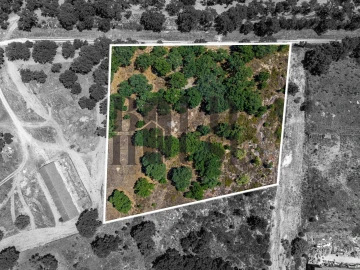 Terreno Comércio / Armazém para Venda em Vila Chã de Ourique