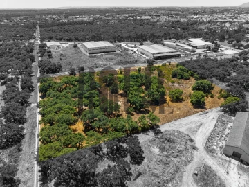 Terreno Comércio / Armazém para Venda em Vila Chã de Ourique