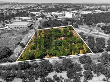 Terreno Comércio / Armazém para Venda em Vila Chã de Ourique