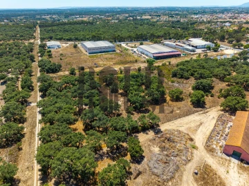 Terreno Comércio / Armazém para Venda em Vila Chã de Ourique