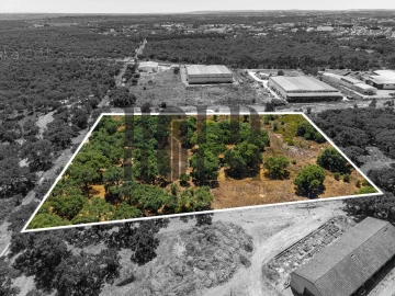 Terreno Comércio / Armazém para Venda em Vila Chã de Ourique