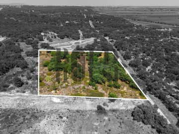 Terreno Comércio / Armazém para Venda em Vila Chã de Ourique