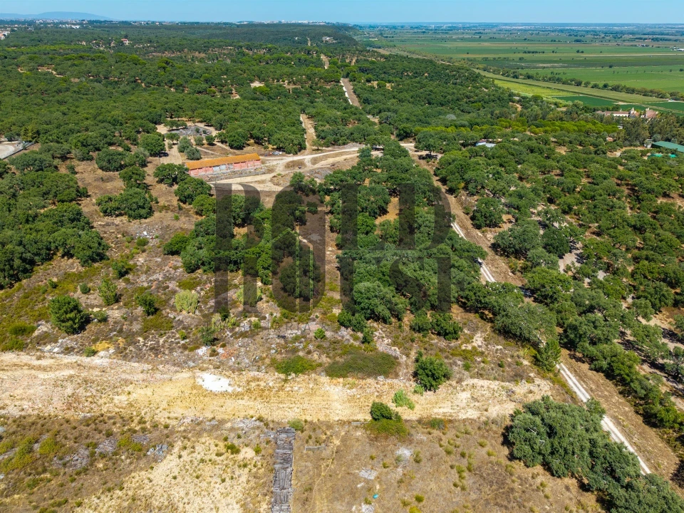 Terreno Comércio / Armazém para Venda em Vila Chã de Ourique Foto 9