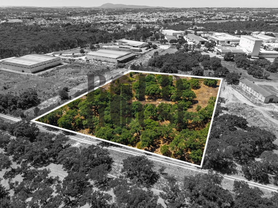 Terreno Comércio / Armazém para Venda em Vila Chã de Ourique Foto 1