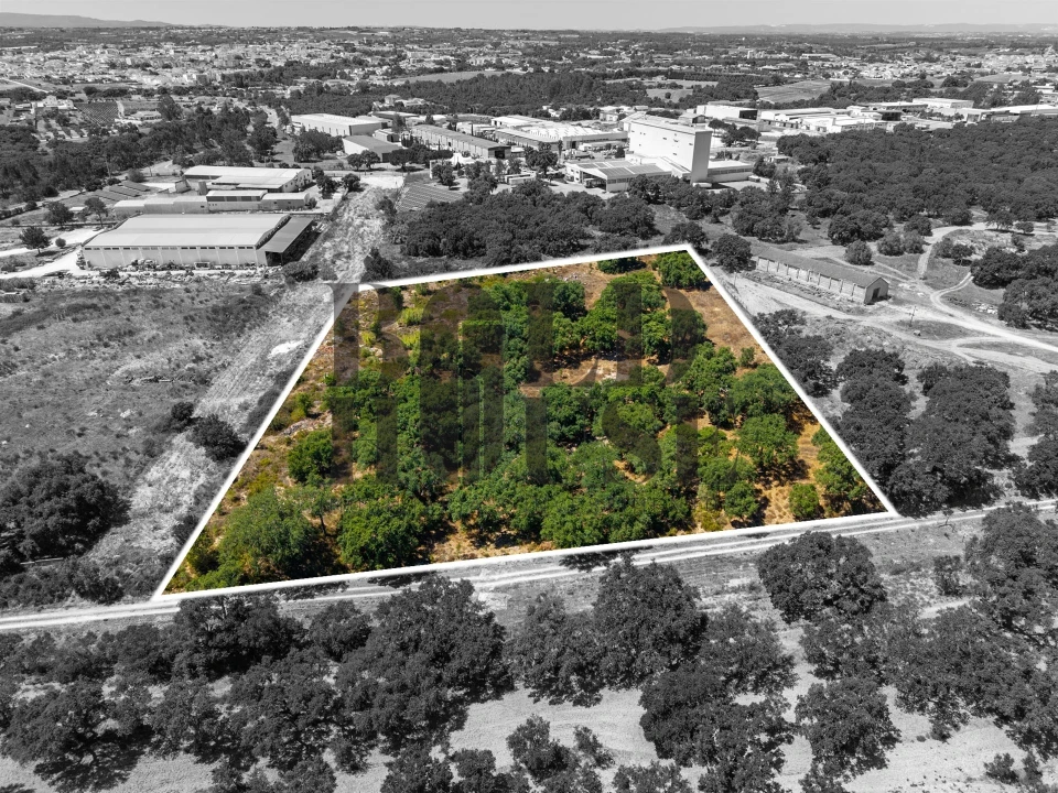 Terreno Comércio / Armazém para Venda em Vila Chã de Ourique Foto 12